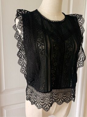 Chicwish Black Openwork Lace Knit Top
